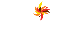 Strauss Coffee Professional Logo